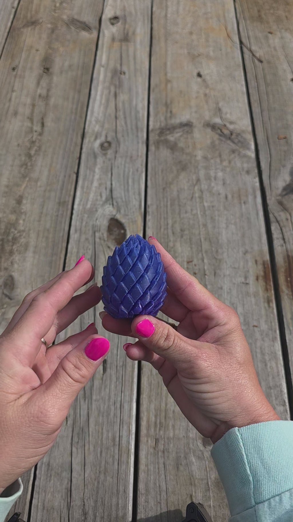 Dragon Egg