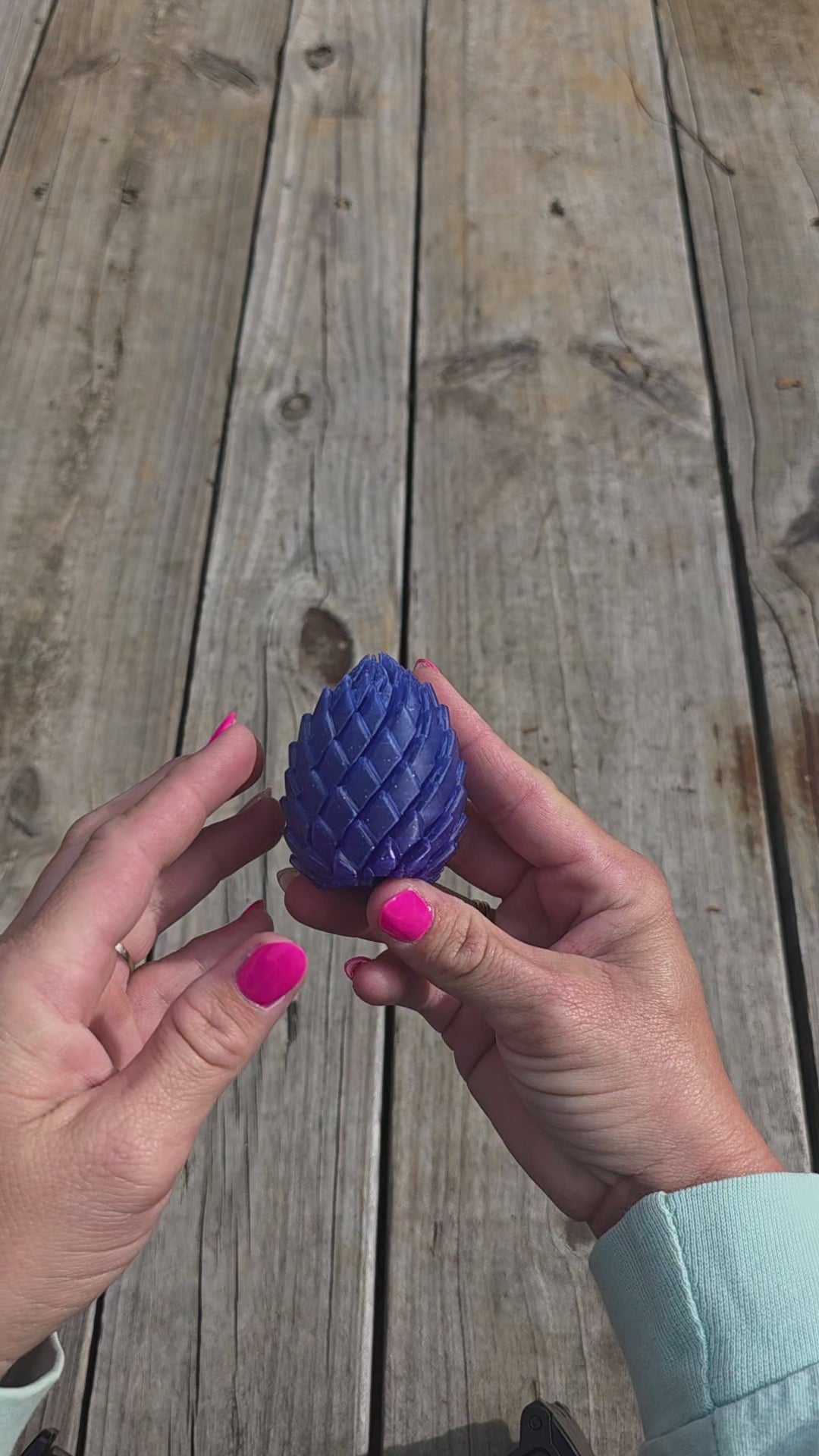 Dragon Egg