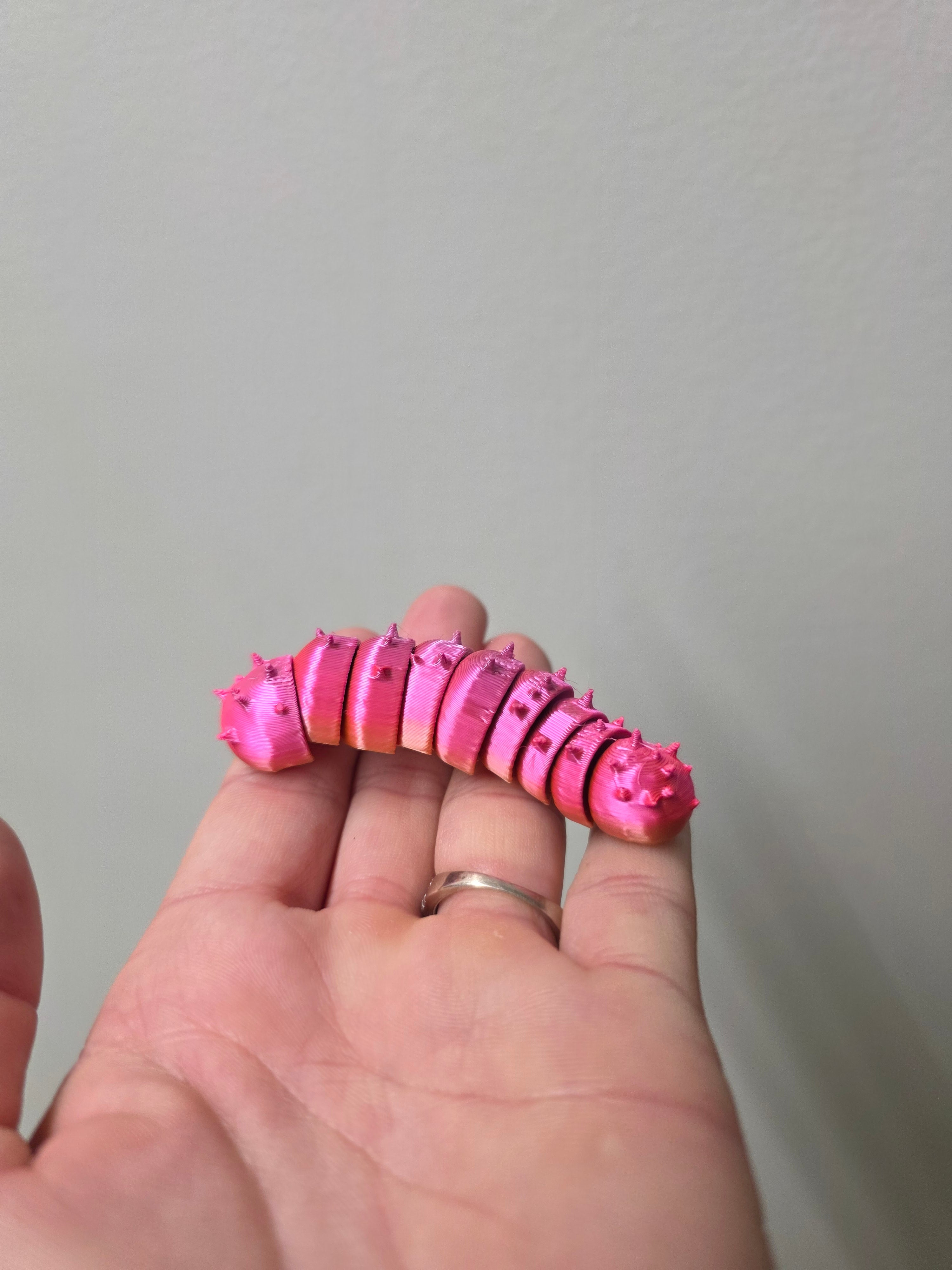 Caterpillar Fidget Toy