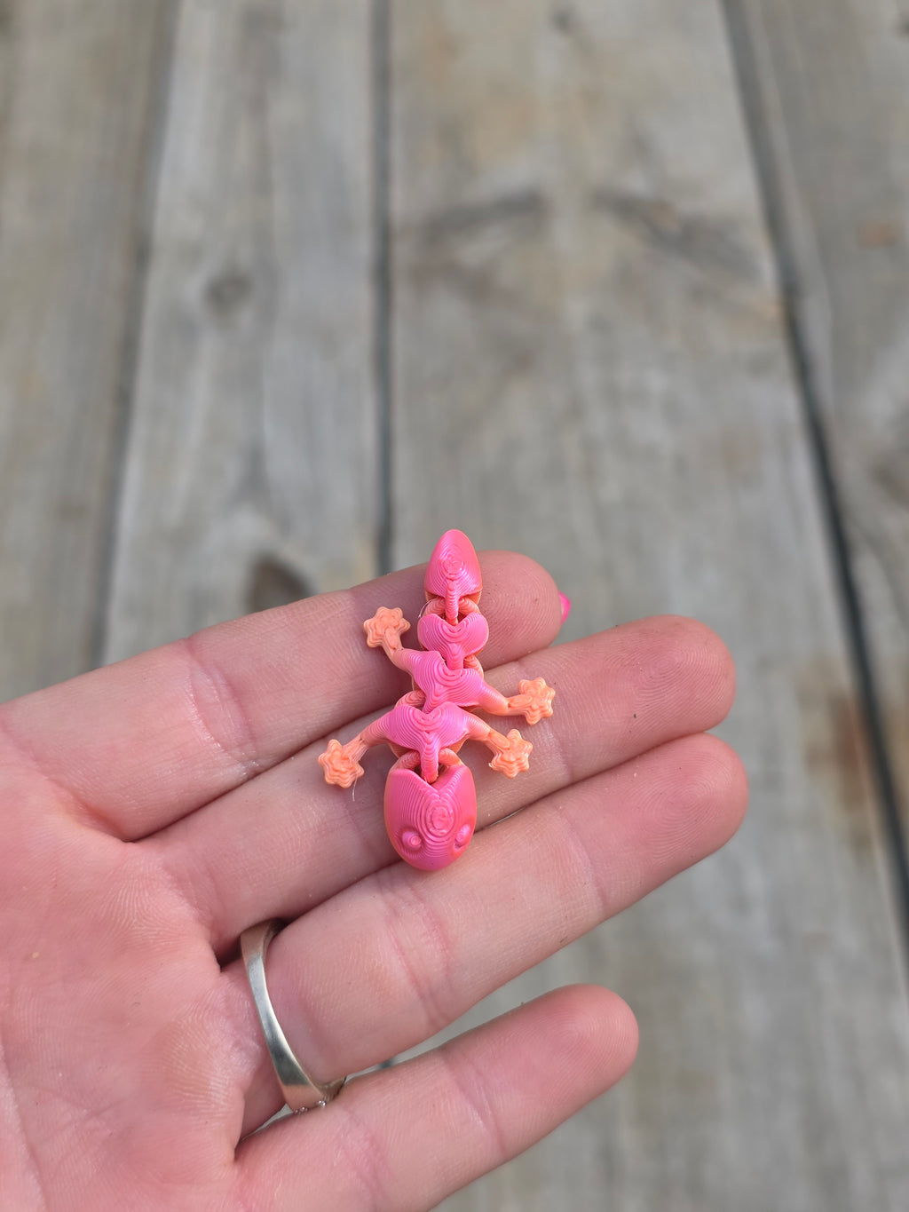 Lizard (small)